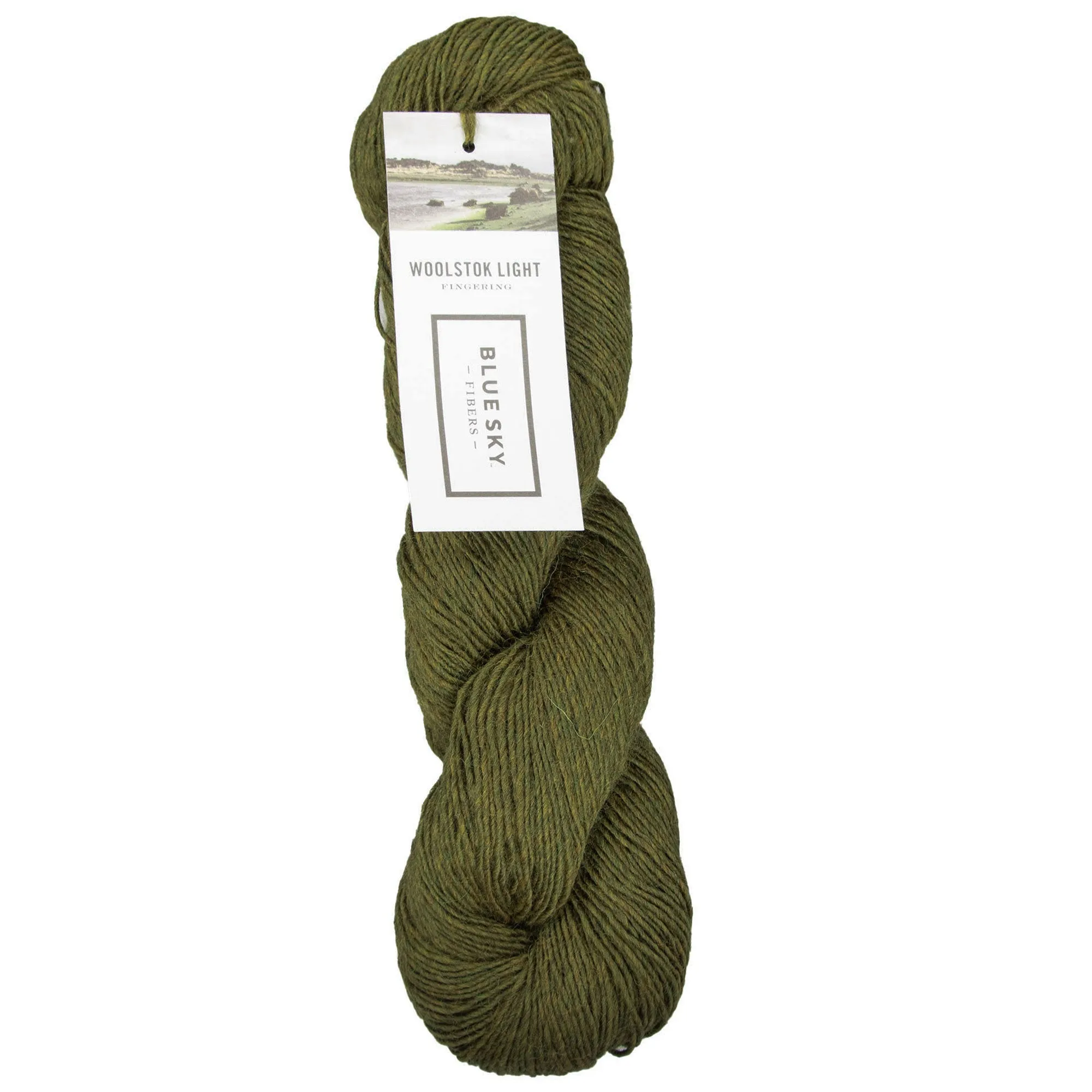 Blue Sky Fibers Woolstok Light Yarn - 2326 Mossy Green